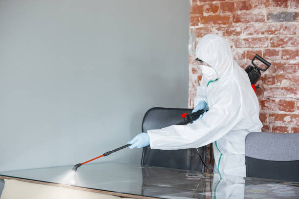 Mold Documentation for Insurance Claims